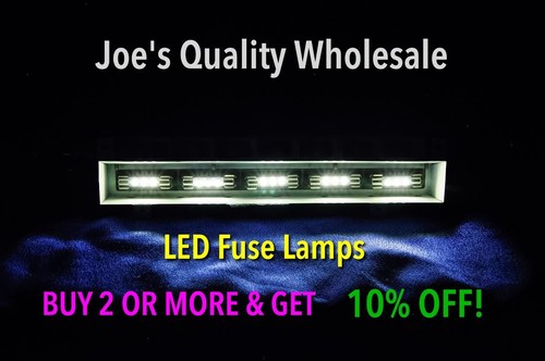 White led lamps - (15)white, 8v