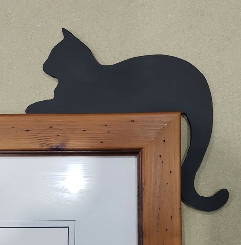 Black cat door - cat,