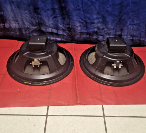 Alnico speaker rib cone - alnico,