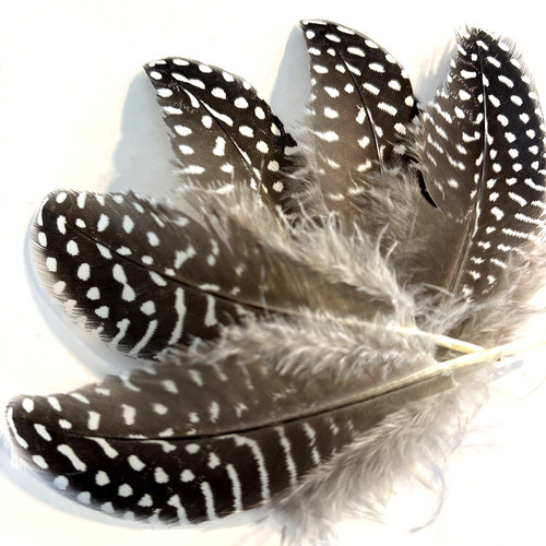 6pcs black white - white, spotted