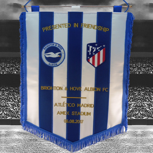 Brighton hove albion v - brighton,