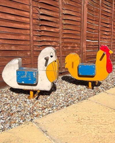 Hand painted pelican - a, hen