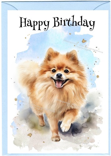 Pomeranian dog birthday card - pomeranian,