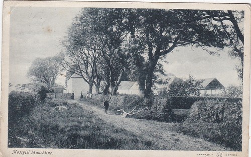 Mossgiel horse drawn plough - mossgiel, &