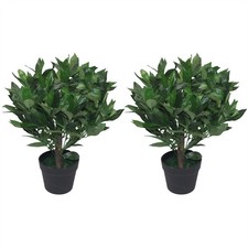 Topiary bushes pair - topiary,