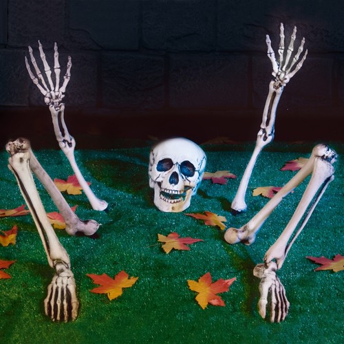 Outdoor halloween decoration - halloween,