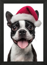 Festive Boston Terrier with