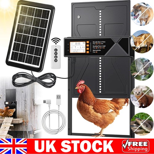 Solar chicken coop - coop, opener