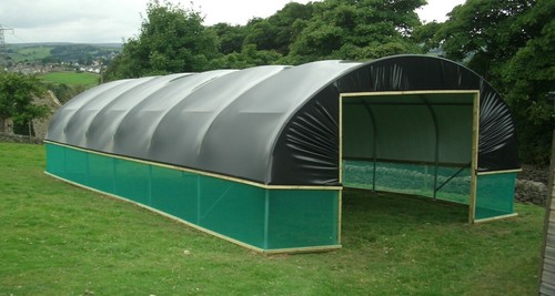 Sheep shelter polytunnel - sheep,