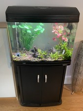 Freshwater Tropical Aquarium