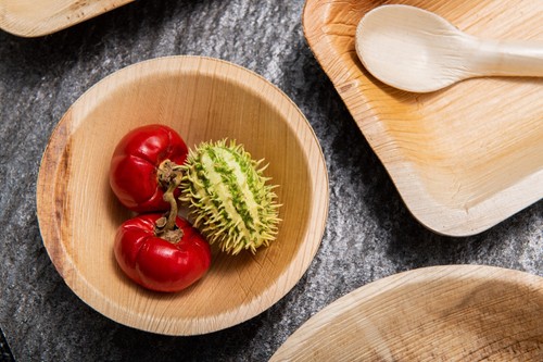 Palm leaf bowls eco friendly - leaf,