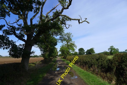 Photo potholed road from - potholed,