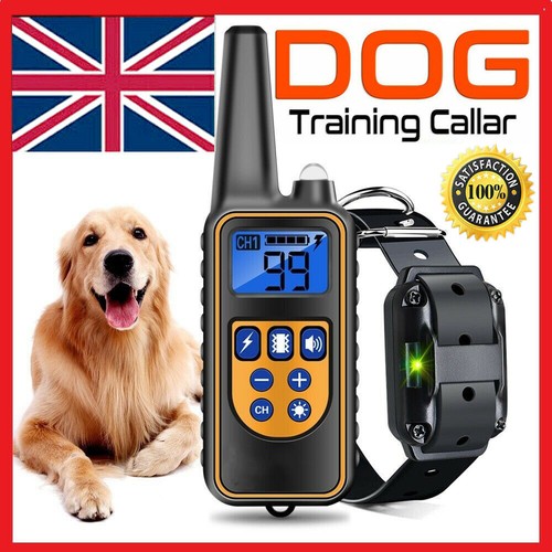Electric dog pet training - dog,