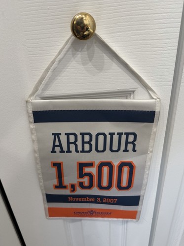 Arbour new york islanders - york,