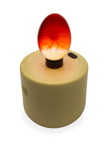 Titan high intensity chicken - titan,