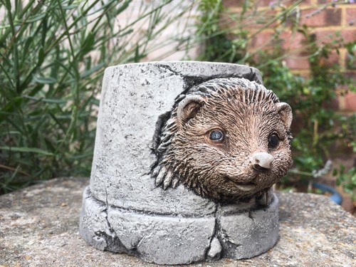 Cute hedgehog hiding pot - cute, a