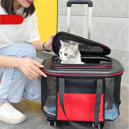 Pet trolley case - trolley,