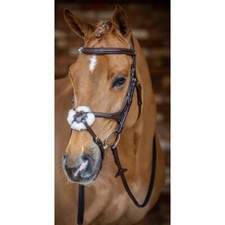 LeMieux Grackle Bridle