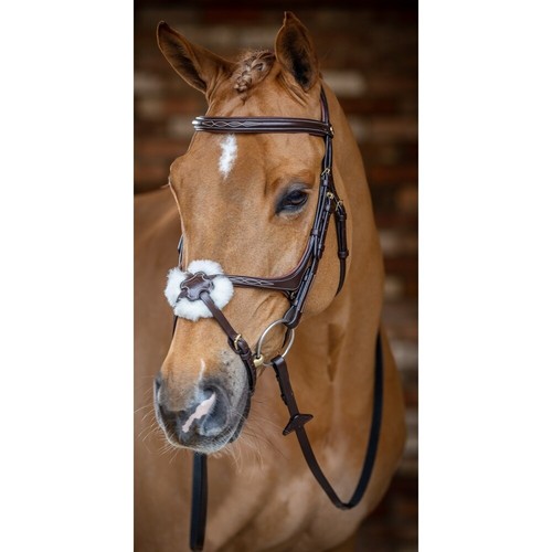 Lemieux grackle bridle - lemieux,