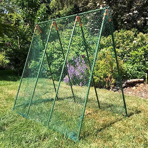 Pea frame kit planter - frame,