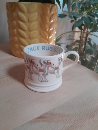 Rare emma bridgewater jack - bridgewater,