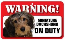 Wire Haired Miniature Dachshund Sign - Laminated Card -  Beware Of Dog 20cmx12cm