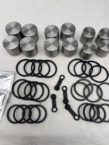 Stainless steel pistons seals - stainless,