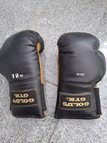 Golds gym 18oz - 18oz, gloves