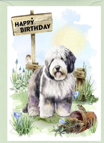 Old english sheepdog - old,