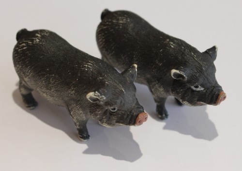 Black pot bellied piglets - 2, pot-bellied