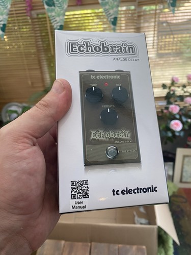 Electronic echobrain analog - electronic,
