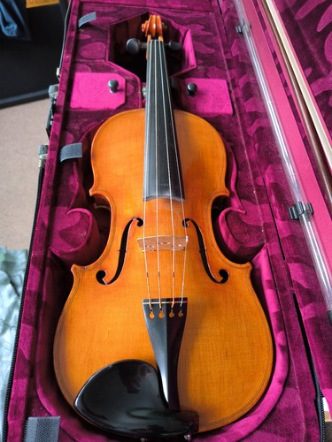 Old guarneri model 4 - 'guarneri', 4/4