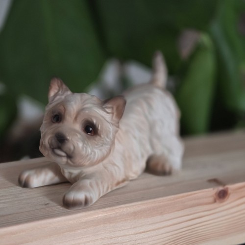 Hhh cairn terrier dog - terrier, figurine