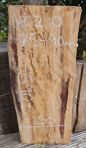Spalted chestnut live edge - spalted,