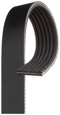 Drive Belt Ribbed Fits Reliant KITTEN REBEL SCIMITAR Opt2/2 2.8 700 850 0131KP6