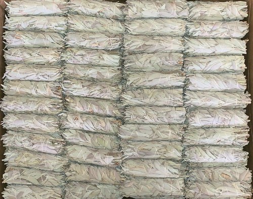 100 california white sage - 100,