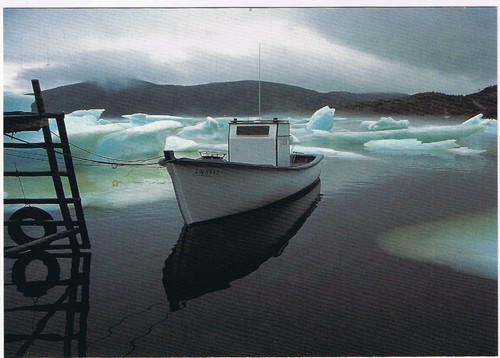 Postcard pacquet arctic - arctic, ice
