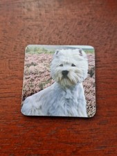 West Highland Terrier magnet Westie Terriers fridge magnets Westies dog dogs pup
