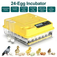 24 Eggs Fully Automatic Egg