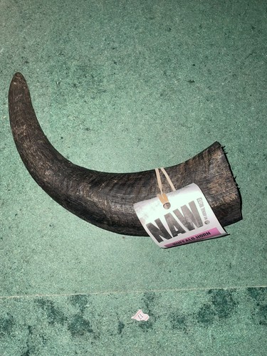 Naw buffalo horn jumbo 2 - -,