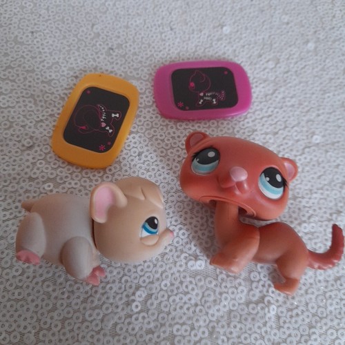 Littlest pet shop guinea - ,