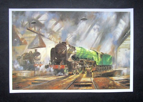 Alan fearnley 6 - fearnley, x