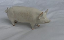 Beswick Pig Boar CH. Wall