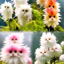 50 Pcs Seeds Cute Monkey Face Orchid seed Bonsai Plants Flowers For Garden UK