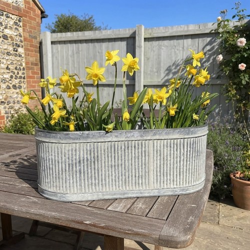 Round galvanized zinc - galvanized,
