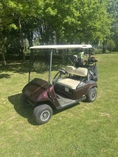 EZGO TXT Folding Windscreen