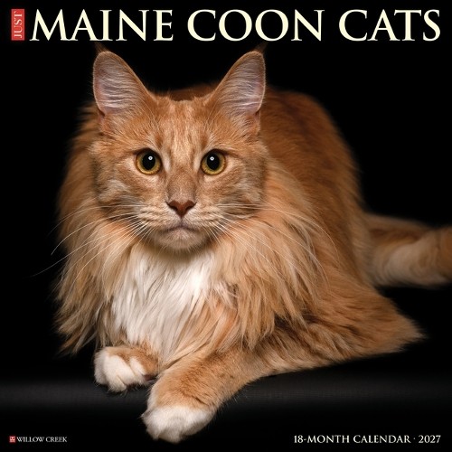 Maine coon cats 2027 wall - cats,