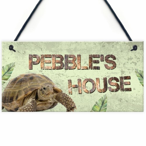 Personalised pet turtle - pet,