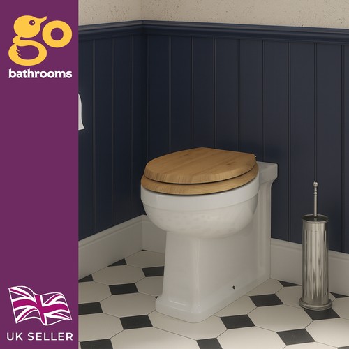 Back wall toilet pan - wall,