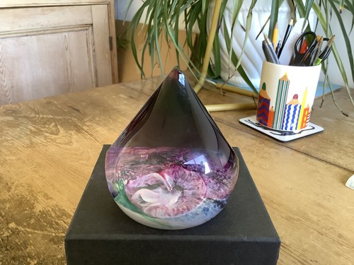 Colin terris ltd edt - colin,